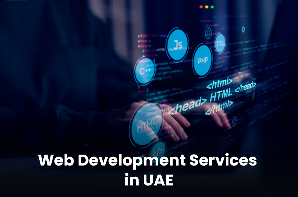 Grow Your Business with Expert Web Development Services in UAE