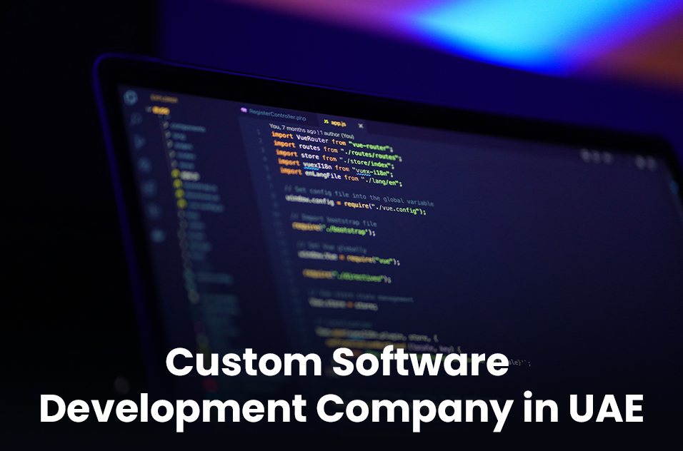 Custom Software Development Company in UAE
